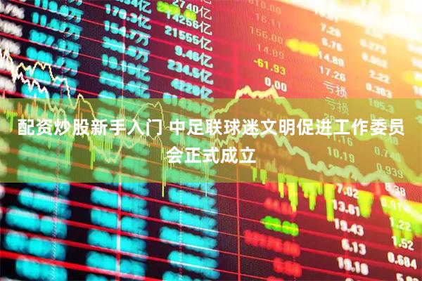 配资炒股新手入门 中足联球迷文明促进工作委员会正式成立